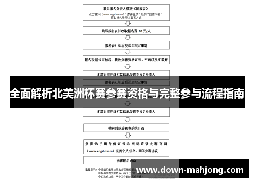全面解析北美洲杯赛参赛资格与完整参与流程指南 全面解析北美洲杯赛参赛资格与完整参与流程指南