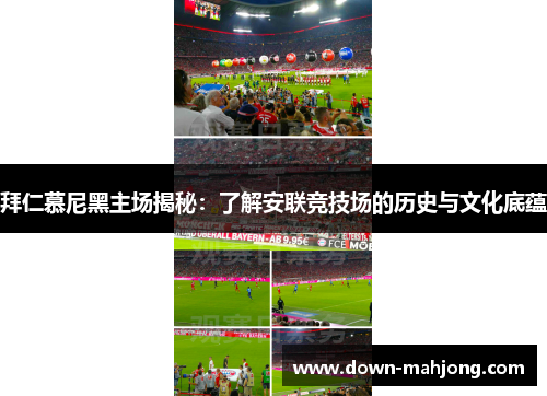 拜仁慕尼黑主场揭秘：了解安联竞技场的历史与文化底蕴