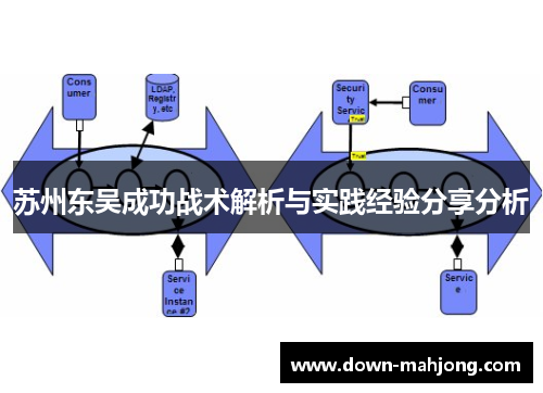苏州东吴成功战术解析与实践经验分享分析