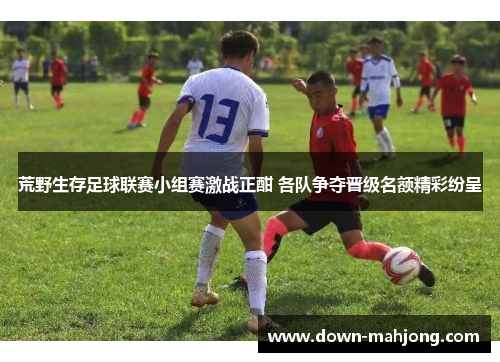 荒野生存足球联赛小组赛激战正酣 各队争夺晋级名额精彩纷呈 荒野生存足球联赛小组赛激战正酣 各队争夺晋级名额精彩纷呈