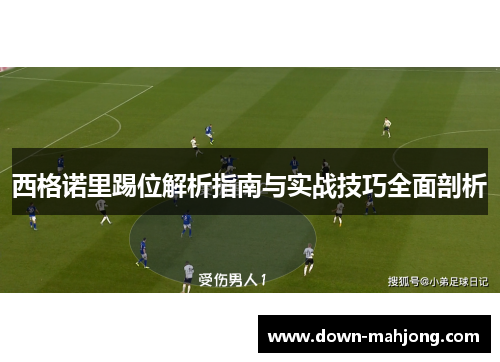 西格诺里踢位解析指南与实战技巧全面剖析