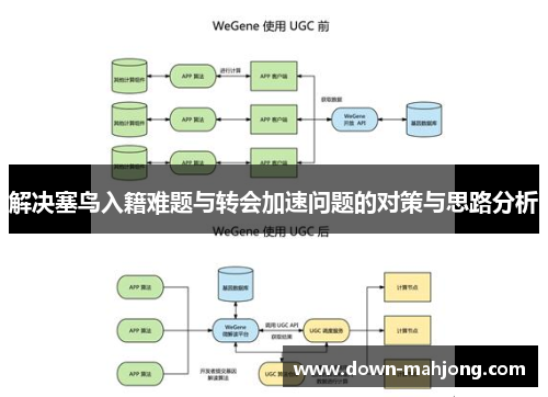 解决塞鸟入籍难题与转会加速问题的对策与思路分析