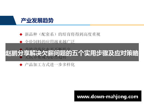 赵鹏分享解决欠薪问题的五个实用步骤及应对策略 赵鹏分享解决欠薪问题的五个实用步骤及应对策略
