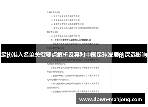 足协准入名单关键要点解析及其对中国足球发展的深远影响 足协准入名单关键要点解析及其对中国足球发展的深远影响